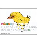 PAJAROS Y POLLOS DE AQUI Y DE ALLA PARA ESTUDIAR Y COLOREAR