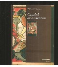 CAUDAL DE AUSENCIAS