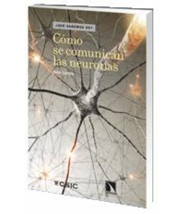 COMO SE COMUNICAN LAS NEURONAS