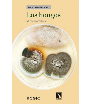 HONGOS