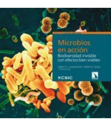 MICROBIOS EN ACCION