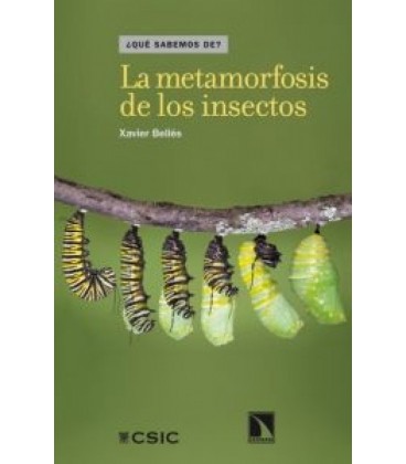 METAMORFOSIS DE LOS INSECTOS