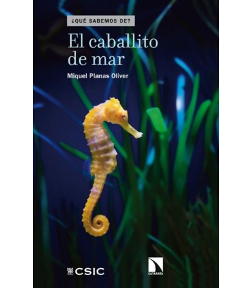 CABALLITO DE MAR