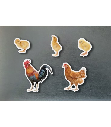 MAGNETICOS FAMILIAS GALLINAS