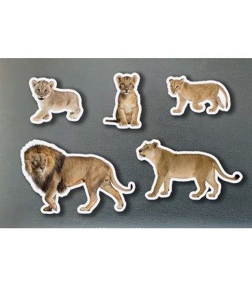 MAGNETICOS FAMILIAS LEONES