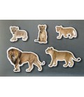 MAGNETICOS FAMILIAS LEONES