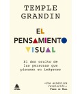 PENSAMIENTO VISUAL