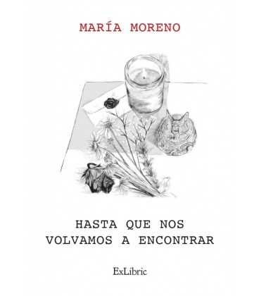 HASTA QUE NOS VOLVAMOS A ENCONTRAR