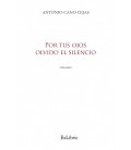 POR TUS OJOS OLVIDO EL SILENCIO
