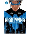 DC PREMIERE 1. AMANECER DE DC. NIGHTWING 01. SALTO HACIA LA LUZ