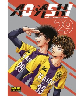 AO ASHI 29