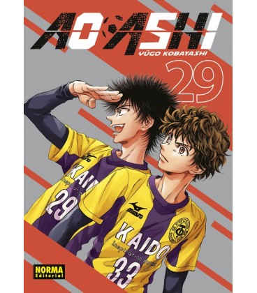 AO ASHI 29