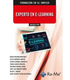 EXPERTO EN E-LEARNING