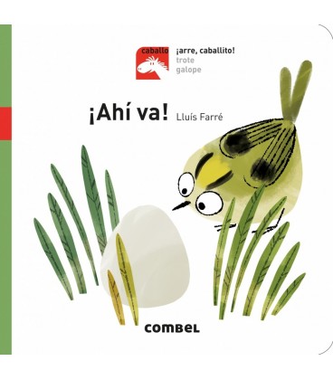 AHI VA!