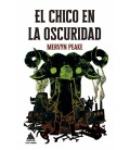 EL CHICO EN LA OSCURIDAD