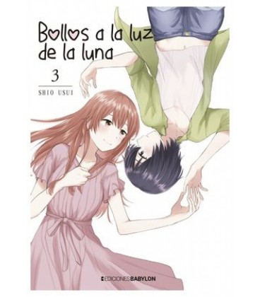 BOLLOS A LA LUZ DE LA LUNA 03