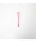 BOLI BORRABLE BO-BO CERDITO - WRITE YOUR OWN OINK-PINION READY TO SELL 12 UDS