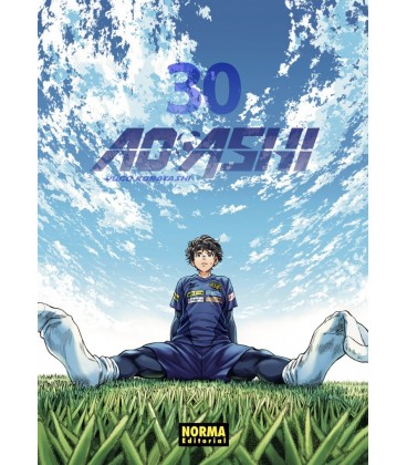 AO ASHI 30