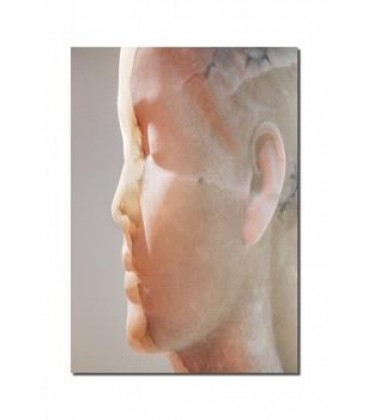 JAUME PLENSA: INNER MATTER - MATERIA INTERIOR