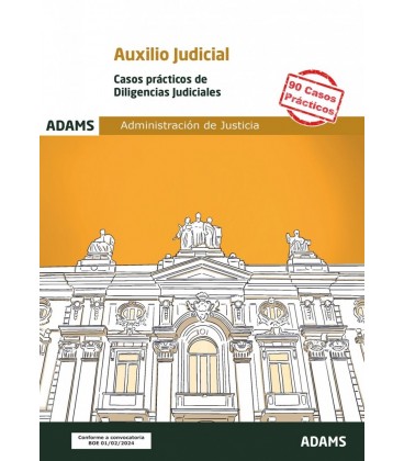 CASOS PRACTICOS DE DILIGENCIAS JUDICIALES. CUERPO DE AUXILIO JUDICIAL