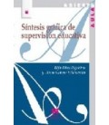 SINTESIS GRAFICA DE SUPERVISION EDUCATIVA