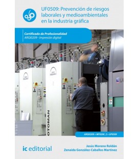 PREVENCION DE RIESGOS LABORALES Y MEDIOAMBIENTALES EN LA INDUSTRIA GRA