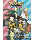 POKEMON ESPADA Y ESCUDO 6