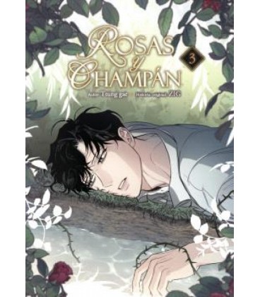 ROSAS Y CHAMPAN 3