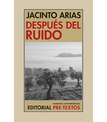 DESPUES DEL RUIDO