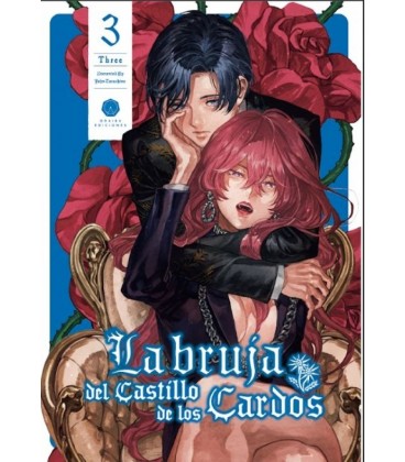 LA BRUJA DEL CASTILLO DE LOS CARDOS 3