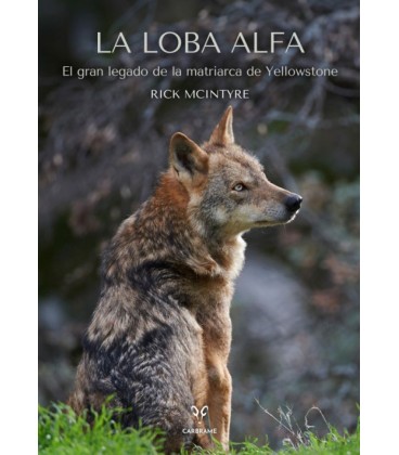 LOBA ALFA