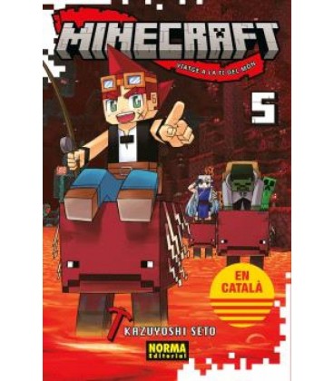 MINECRAFT 5 CAT