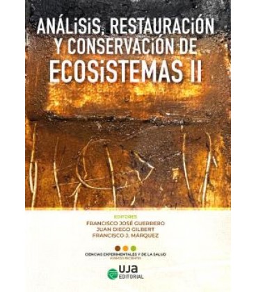 ANALISIS