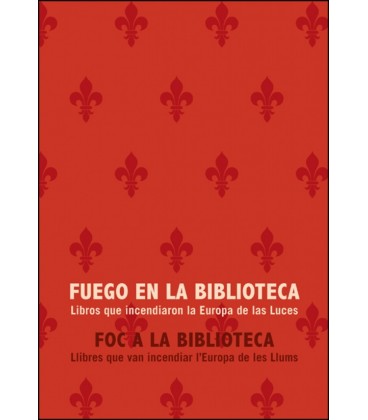 FUEGO EN LA BIBLIOTECA