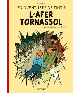 LES AVENTURES DE TINTIN - L AFER TORNASSOL EDICIO ESPECIAL CATALA