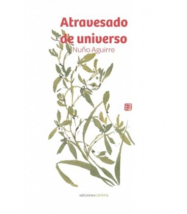 ATRAVESADO DE UNIVERSO