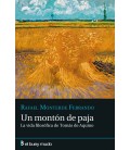 UN MONTON DE PAJA