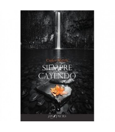 SIEMPRE CAYENDO