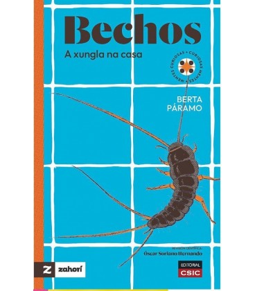 BECHOS : A XUNGLA NA CASA