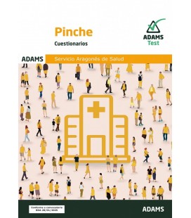 CUESTIONARIO PINCHE DEL SERVICIO ARAGONES DE SALUD