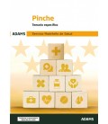 TEMARIO ESPECIFICO PINCHE SERVICIO MADRILENO DE SALUD
