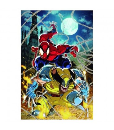 SPIDERMAN Y LOBEZNO 01