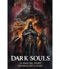 DARK SOULS 2: LA EDAD DEL FUEGO - LEYENDAS DE LA LLAMA