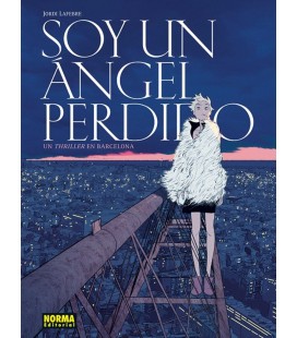 SOY UN ANGEL PERDIDO