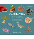 CALETA VIVA. GUIA DE LA FAUNA Y FLORA DE LA CALETA