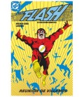 THE FLASH LA COLECCION COMPLETA VOL 02