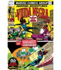 TPB VIUDA NEGRA: EL AGUIJON DE LA VIUDA (MARVEL LIMITED EDITION)