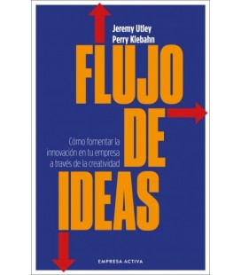FLUJO DE IDEAS