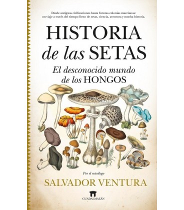 HISTORIA DE LAS SETAS