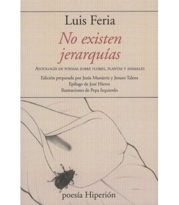 NO EXISTEN JERARQUIAS